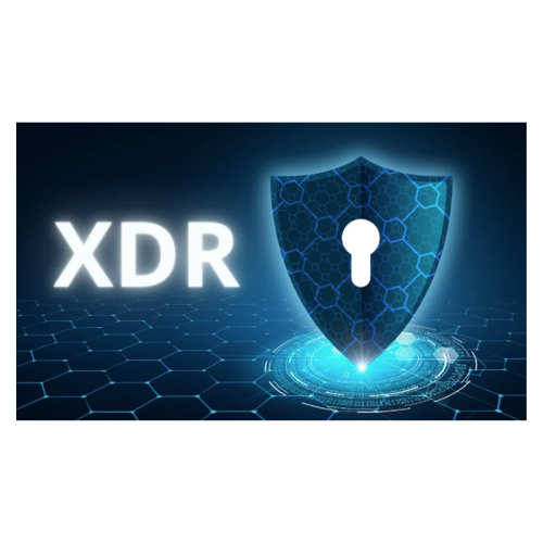 Treinamento Para Licença XDR