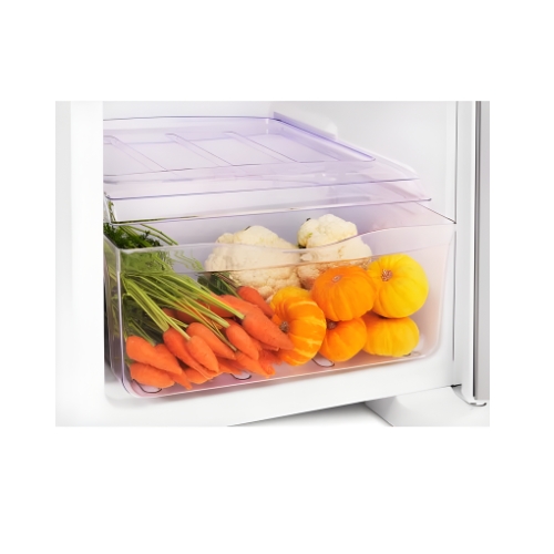 Geladeira Electrolux RE31 240 L 1 Porta